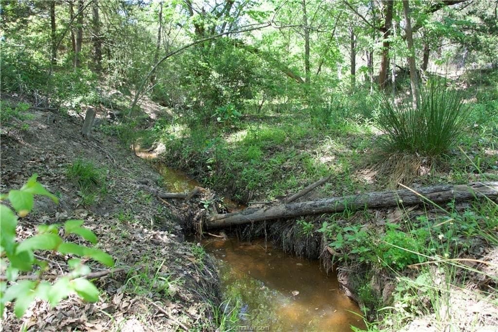 10 acres in Bastrop County featured view