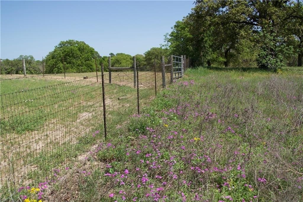 10 acres in Bastrop County - photo 8