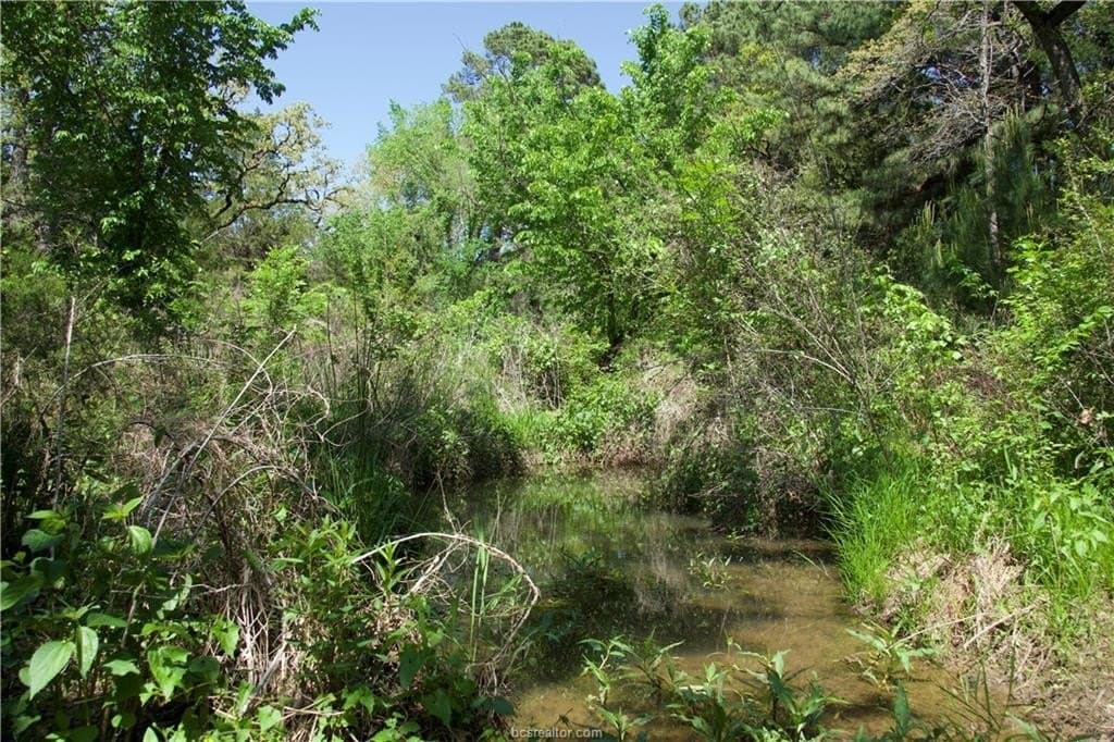 10 acres in Bastrop County - photo 7