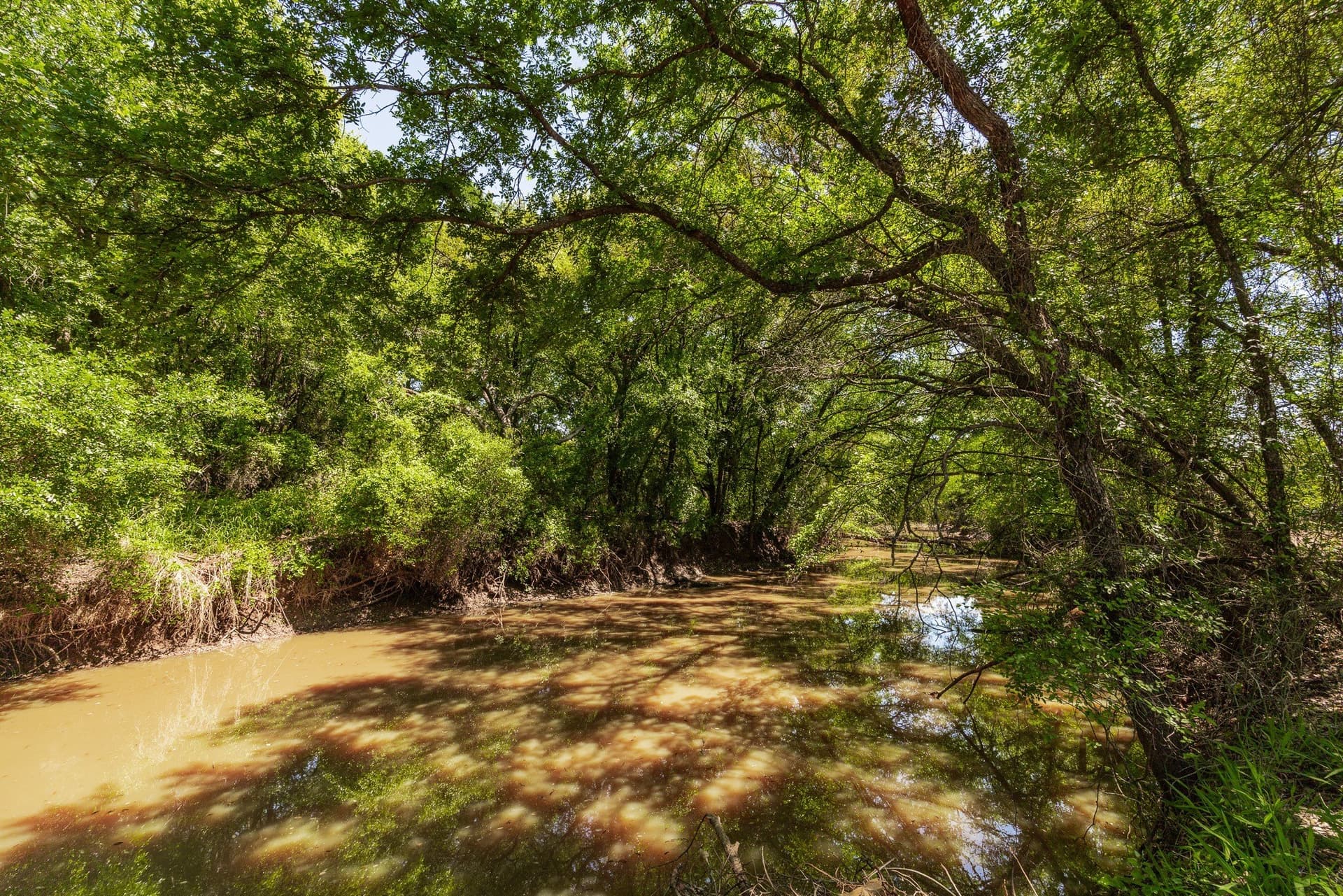 335 acres in Coleman County gallery image 2