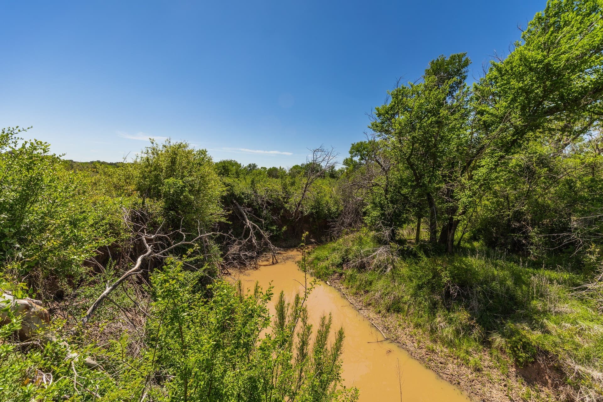 335 acres in Coleman County featured view