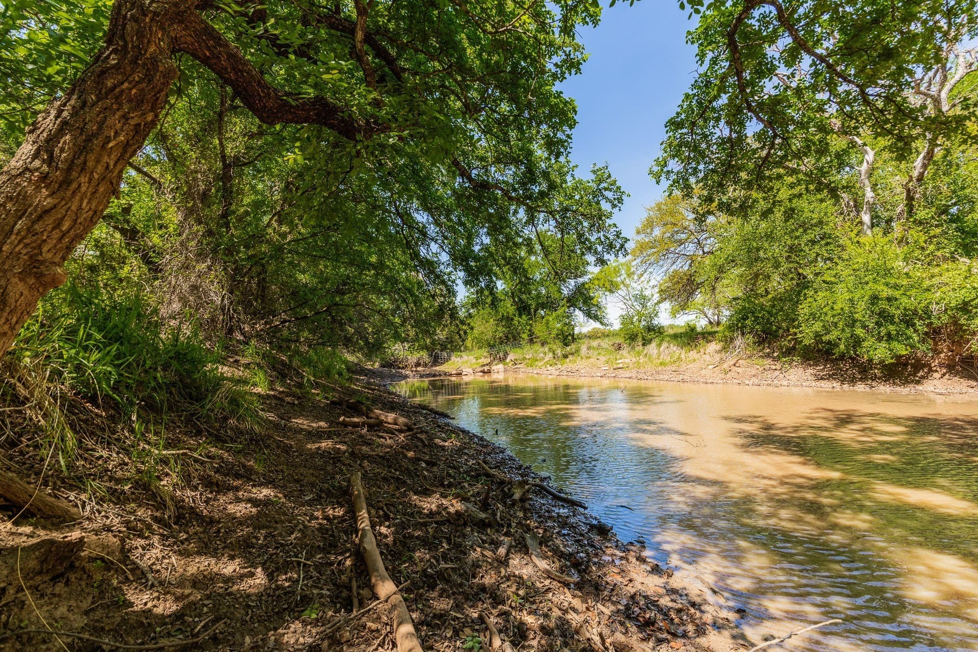 335 acres in Coleman County gallery image 4