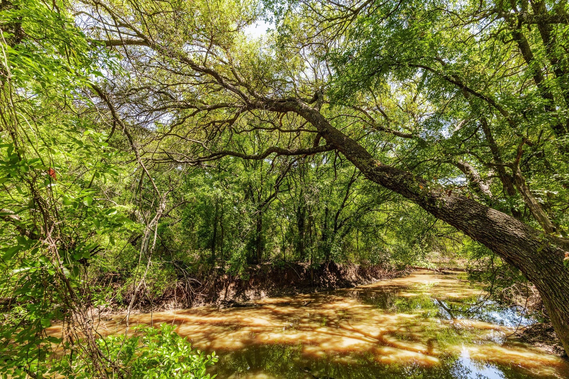 335 acres in Coleman County gallery image 3