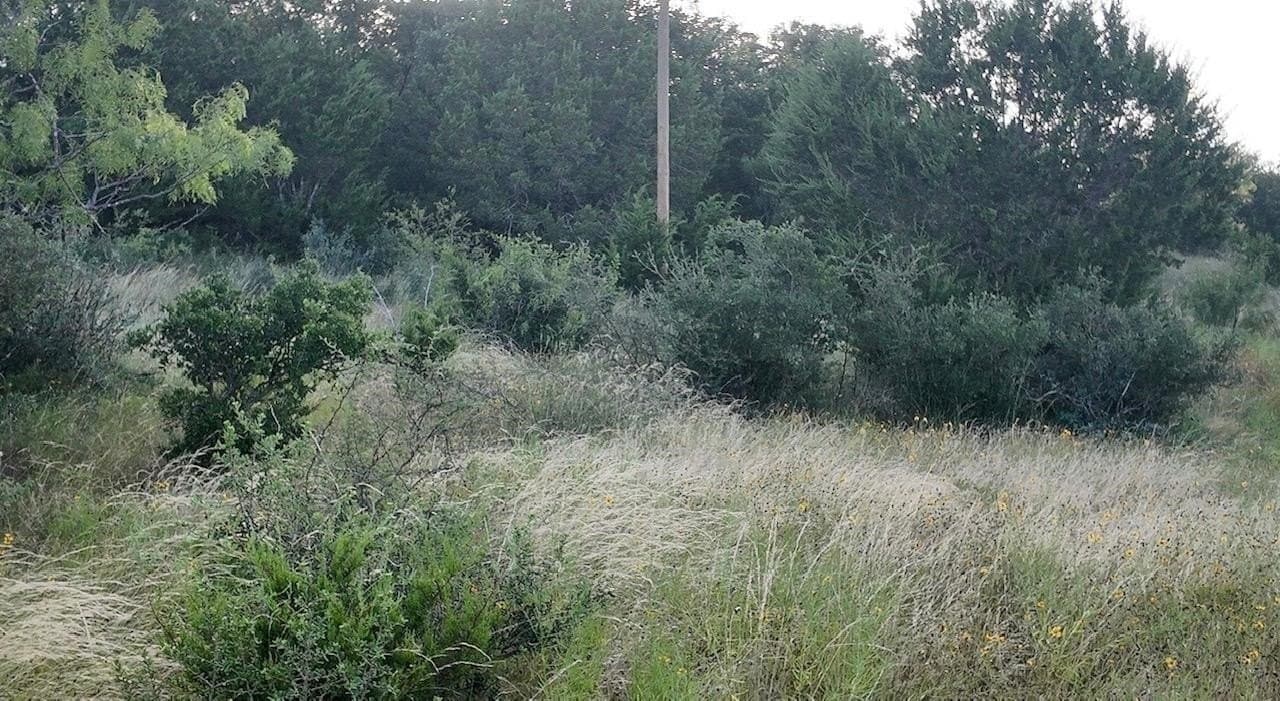 127 acres in McCulloch County - photo 42