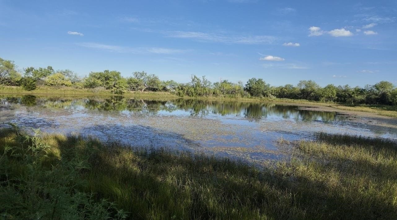 127 acres in McCulloch County - photo 37