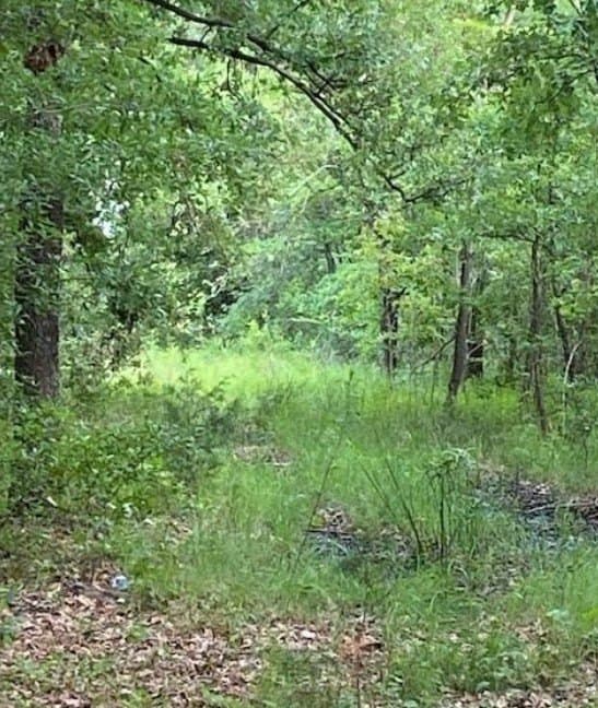 9.28 acres in Kaufman County gallery image 4