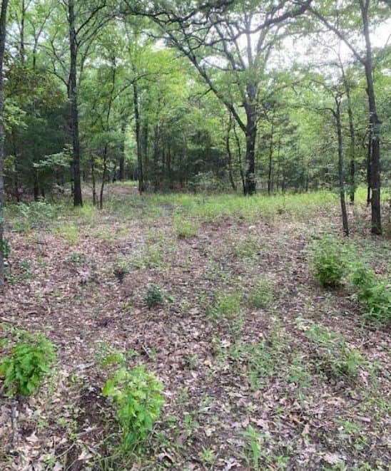 9.28 acres in Kaufman County gallery image 3