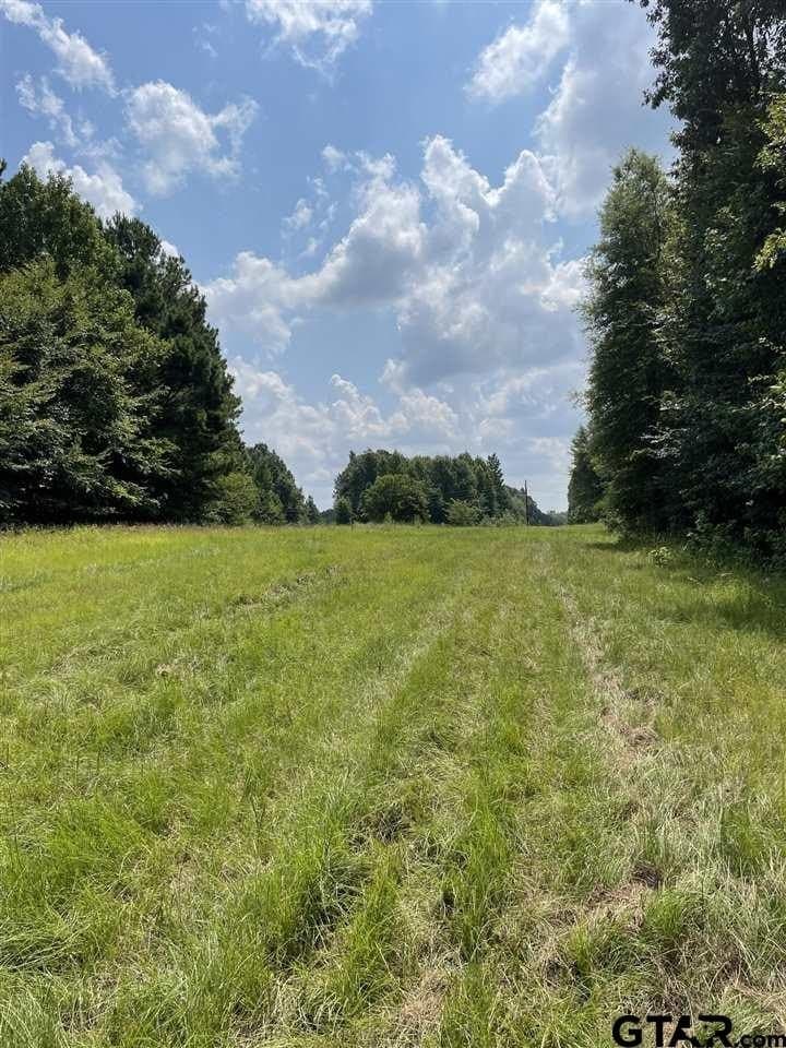 100 acres in Gregg County gallery image 4