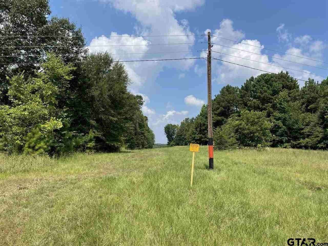 100 acres in Gregg County gallery image 3