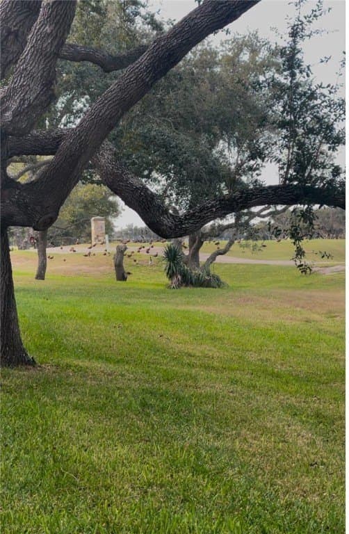 0.26 acres in Aransas County gallery image 2