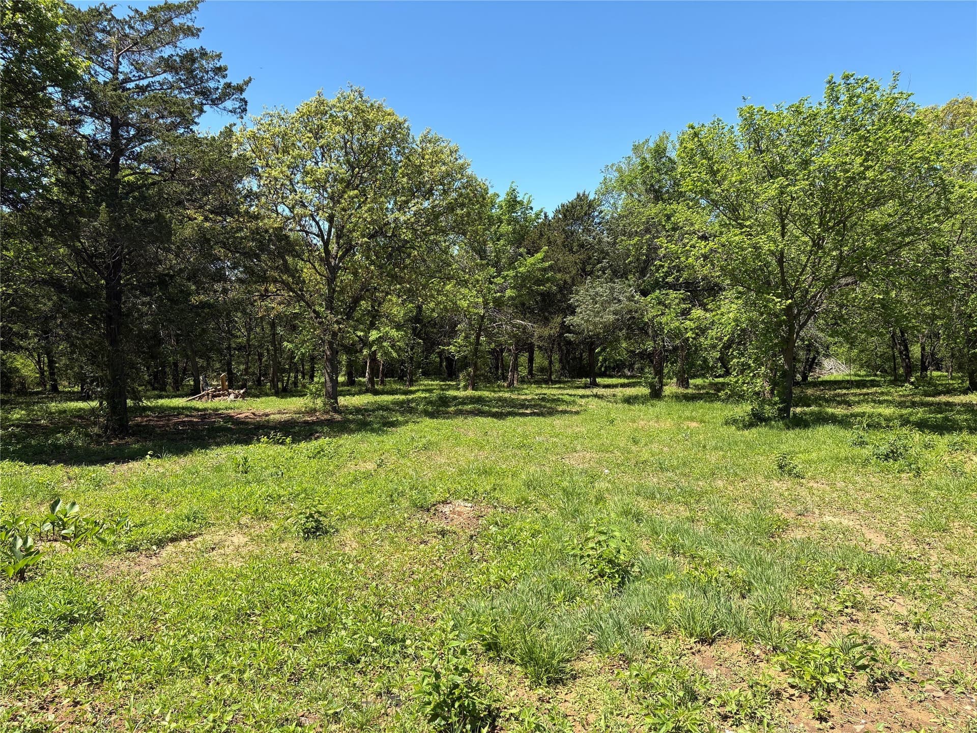2.39 acres in Cooke County gallery image 4