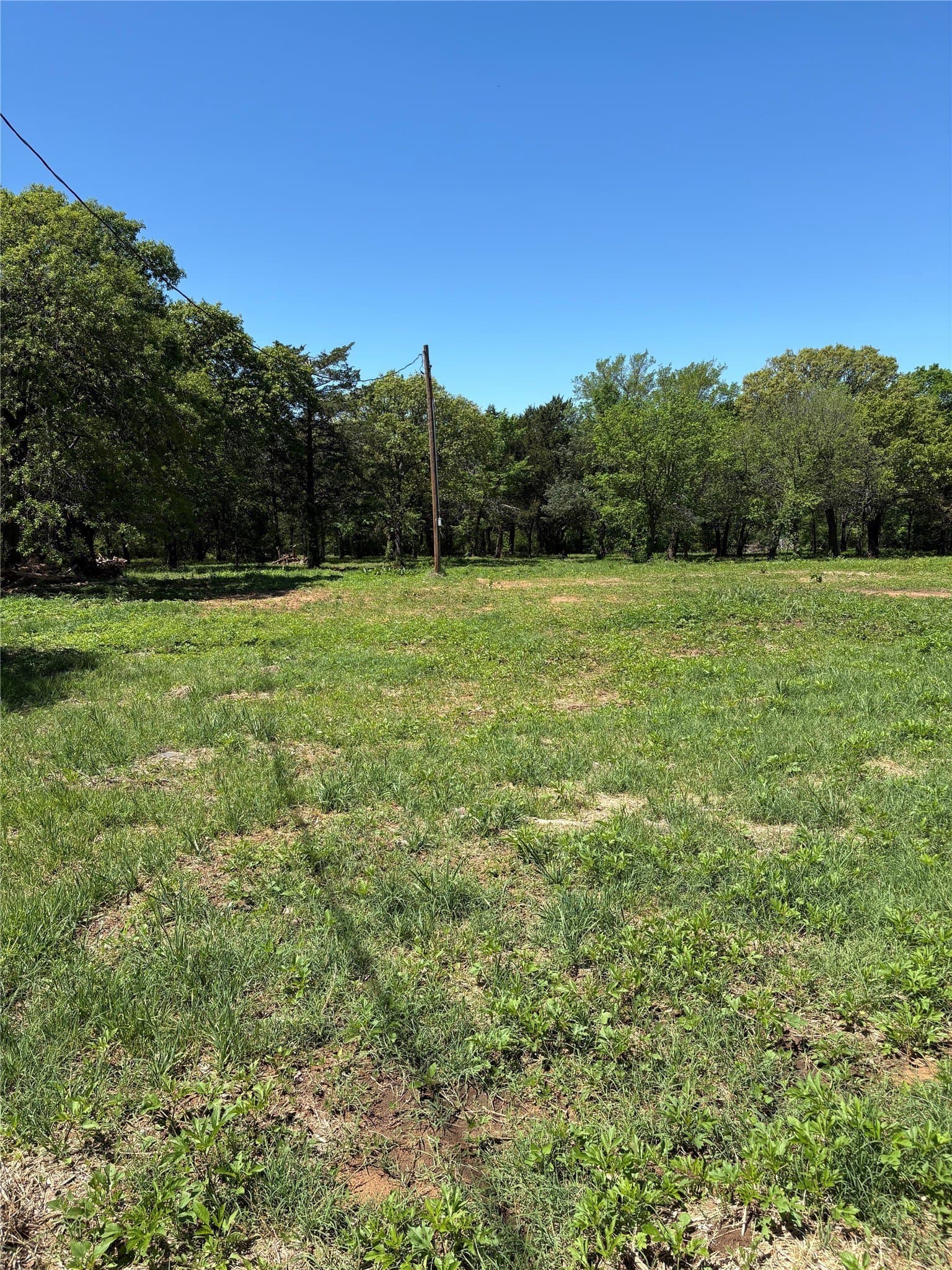 2.39 acres in Cooke County featured view