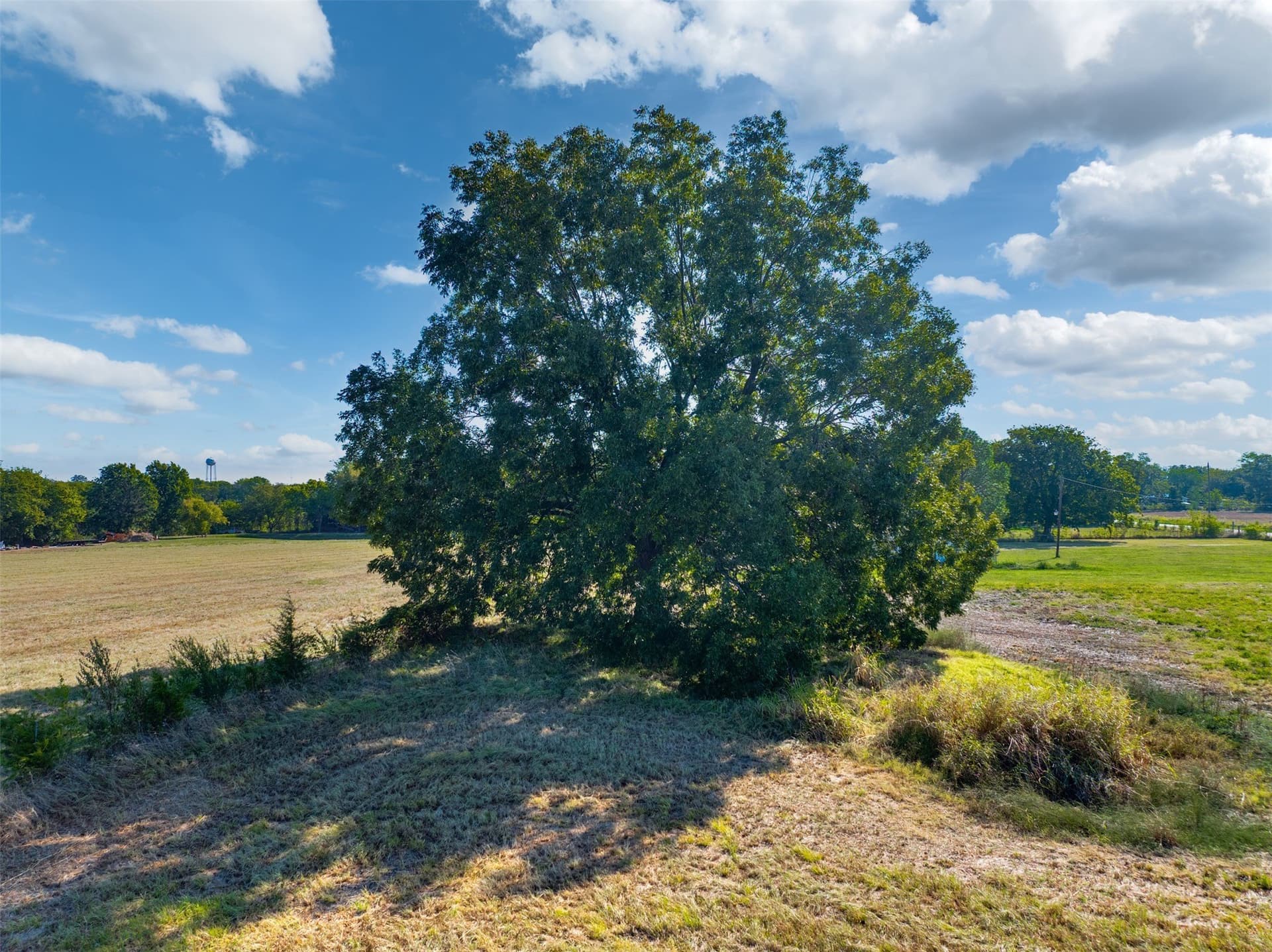 1 acres in Lamar County - photo 10