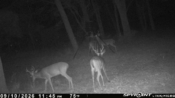 99.06 acres in Anderson County - photo 39