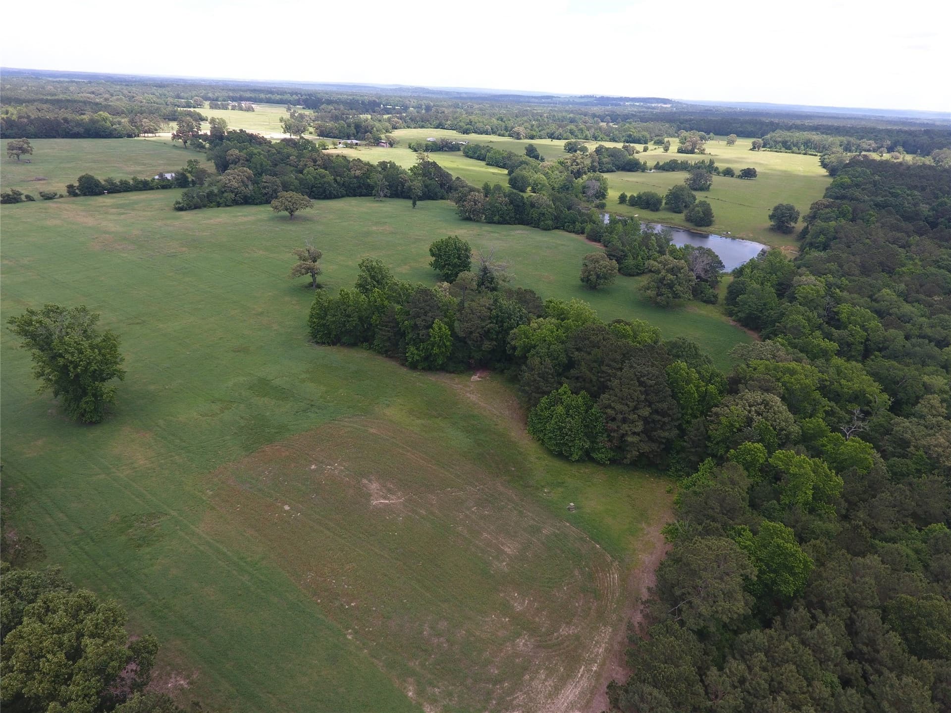 99.06 acres in Anderson County - photo 12