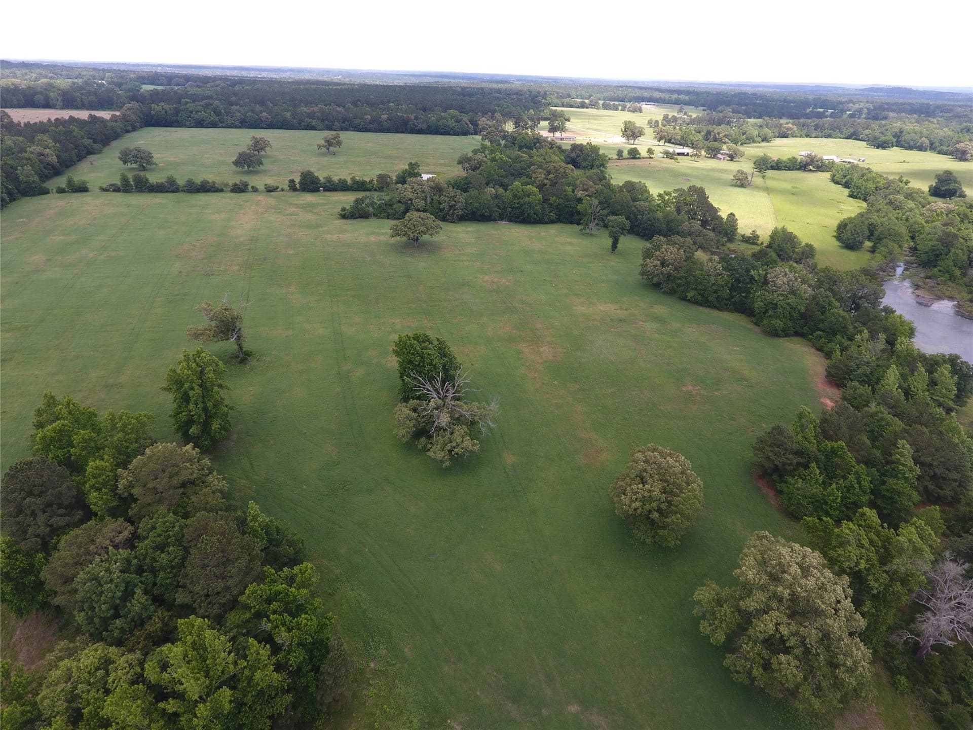 99.06 acres in Anderson County - photo 4