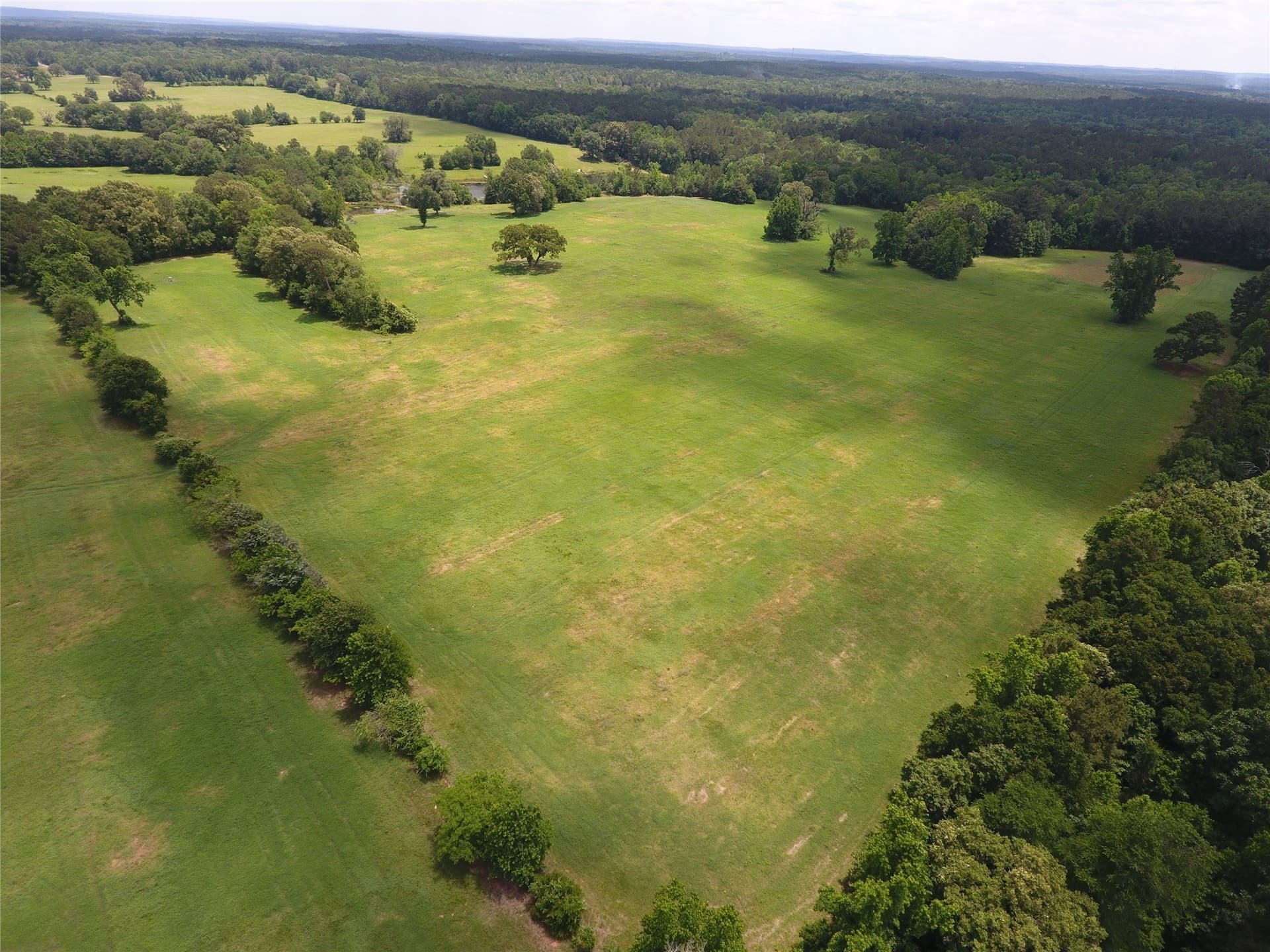99.06 acres in Anderson County - photo 8