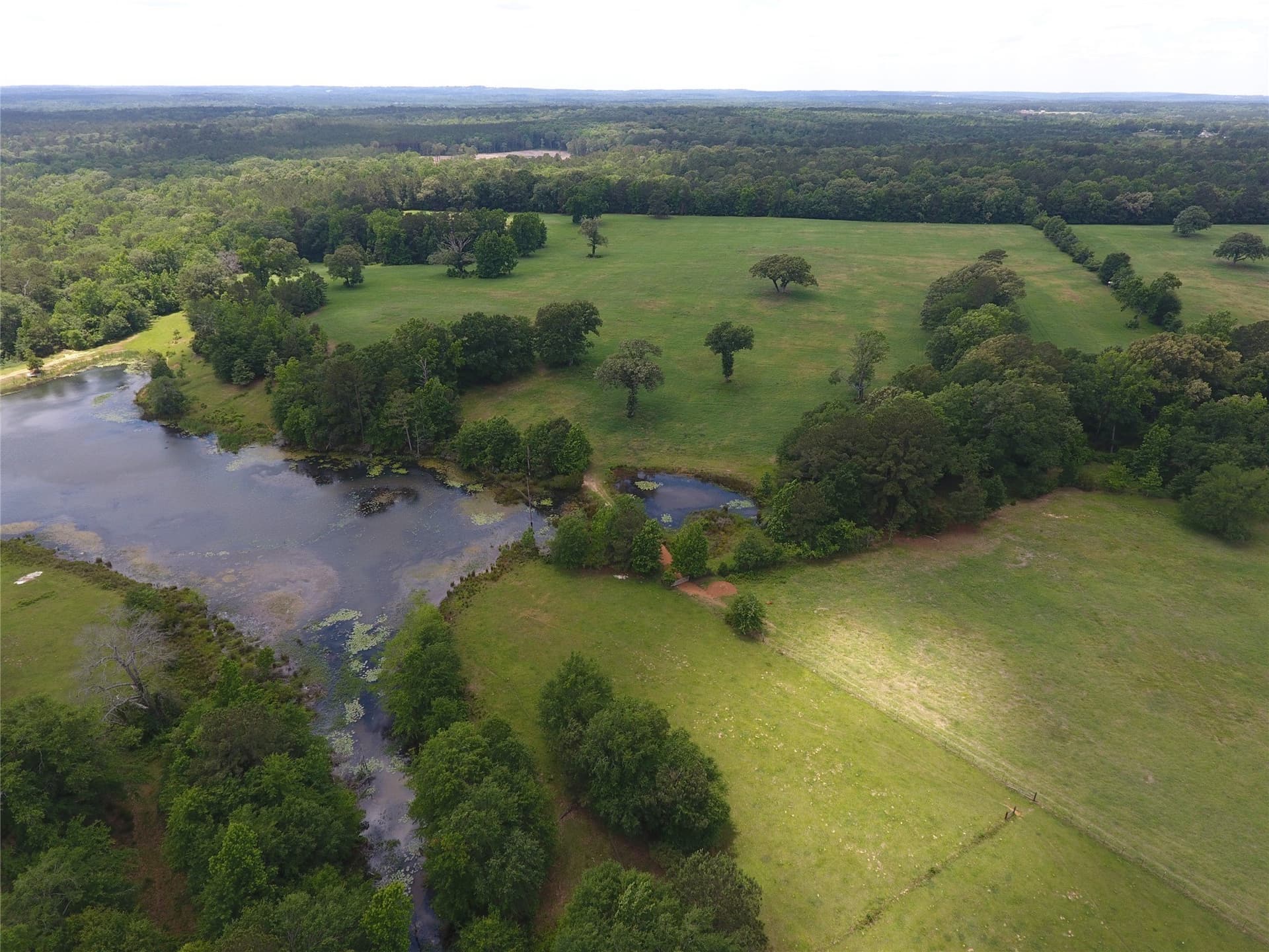 99.06 acres in Anderson County - photo 6