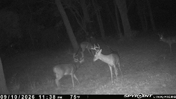 99.06 acres in Anderson County - photo 40