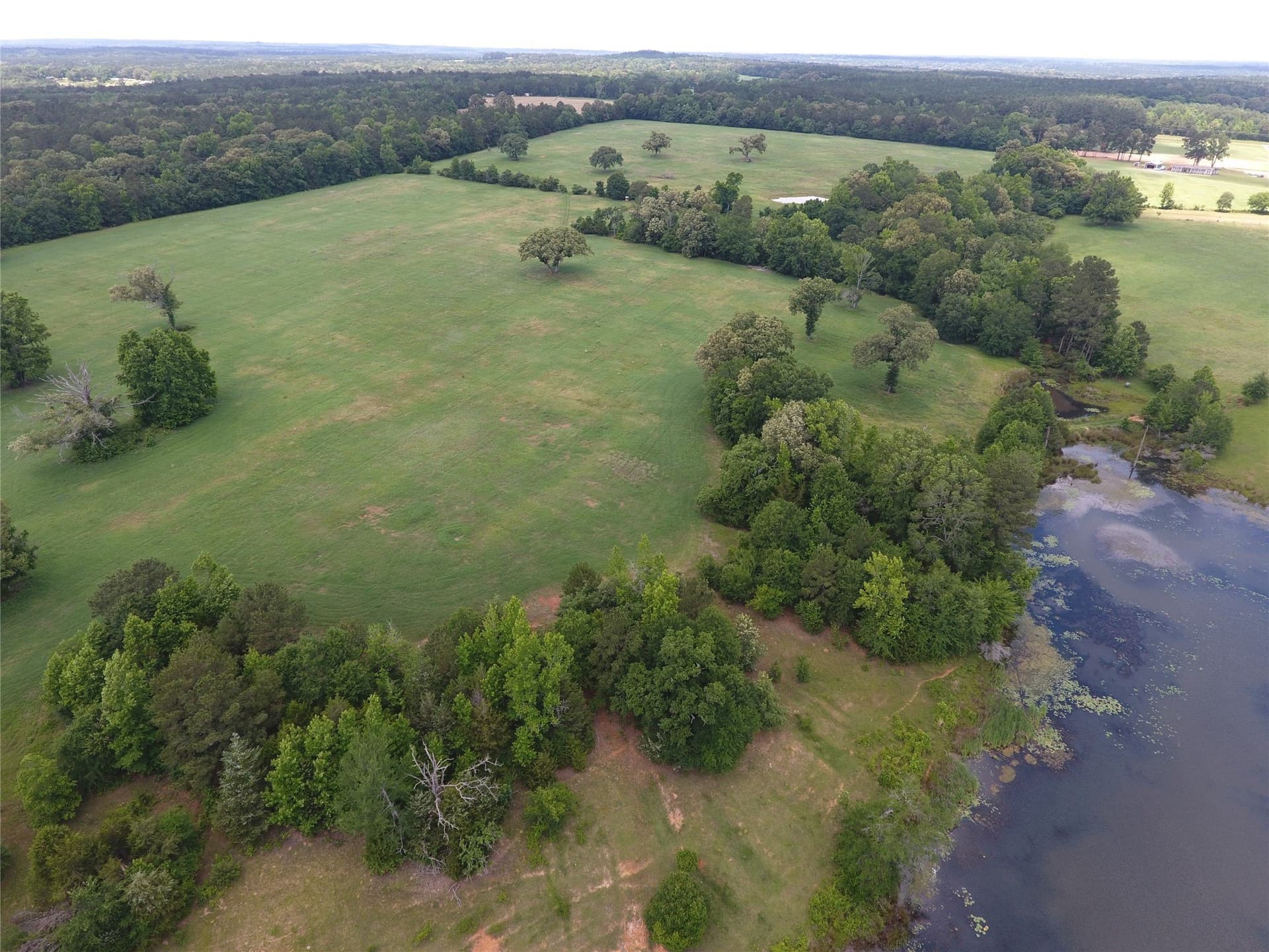 99.06 acres in Anderson County - photo 3