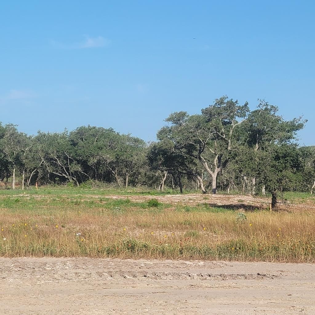 0.18 acres in Texas County