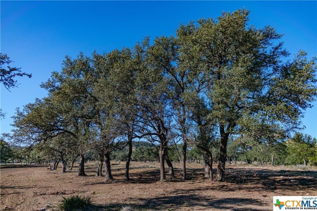 10.04 acres in Blanco County featured view