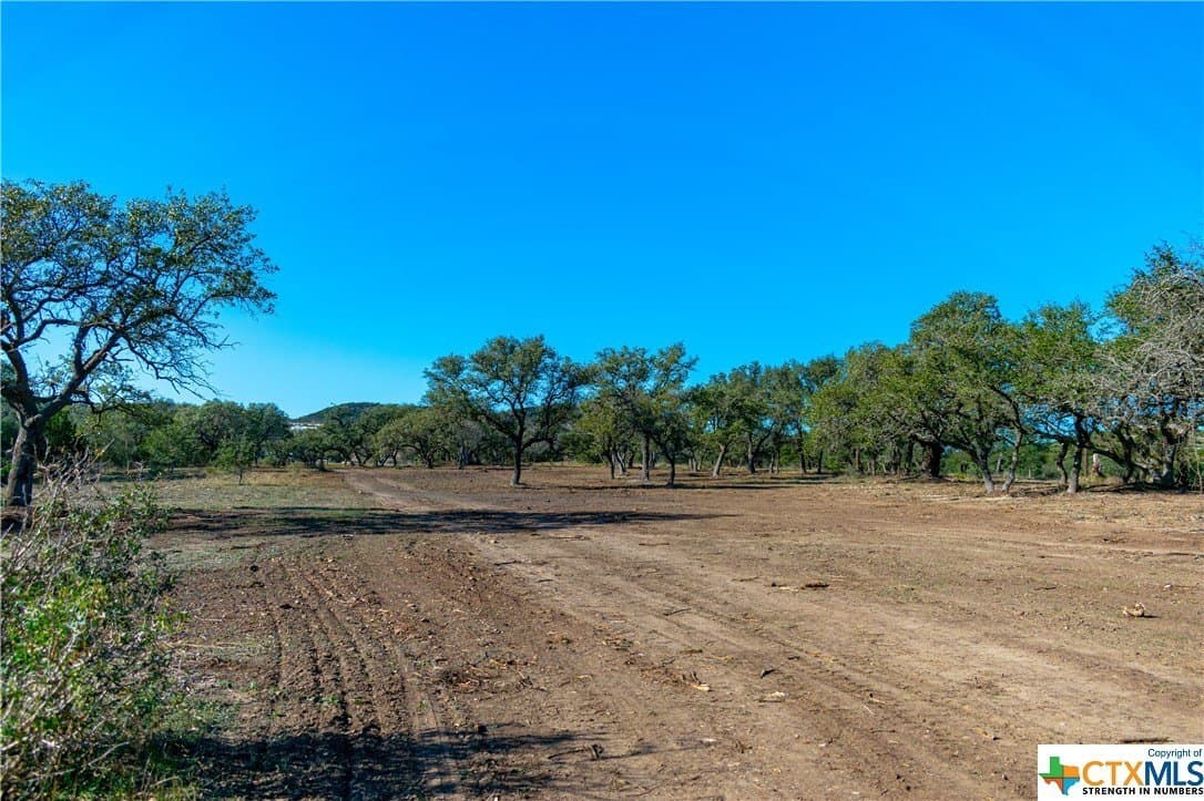 10.04 acres in Blanco County gallery image 4