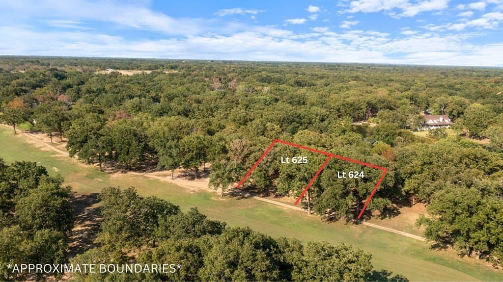 0.26 acres in Henderson County gallery image 4