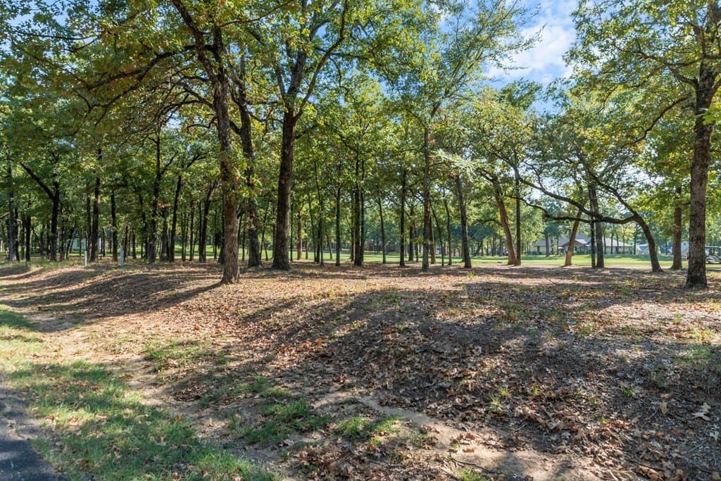 0.26 acres in Henderson County gallery image 3