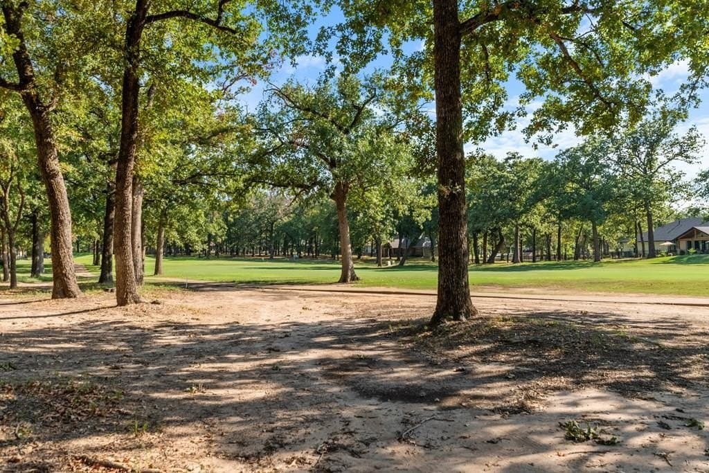 0.26 acres in Henderson County gallery image 2