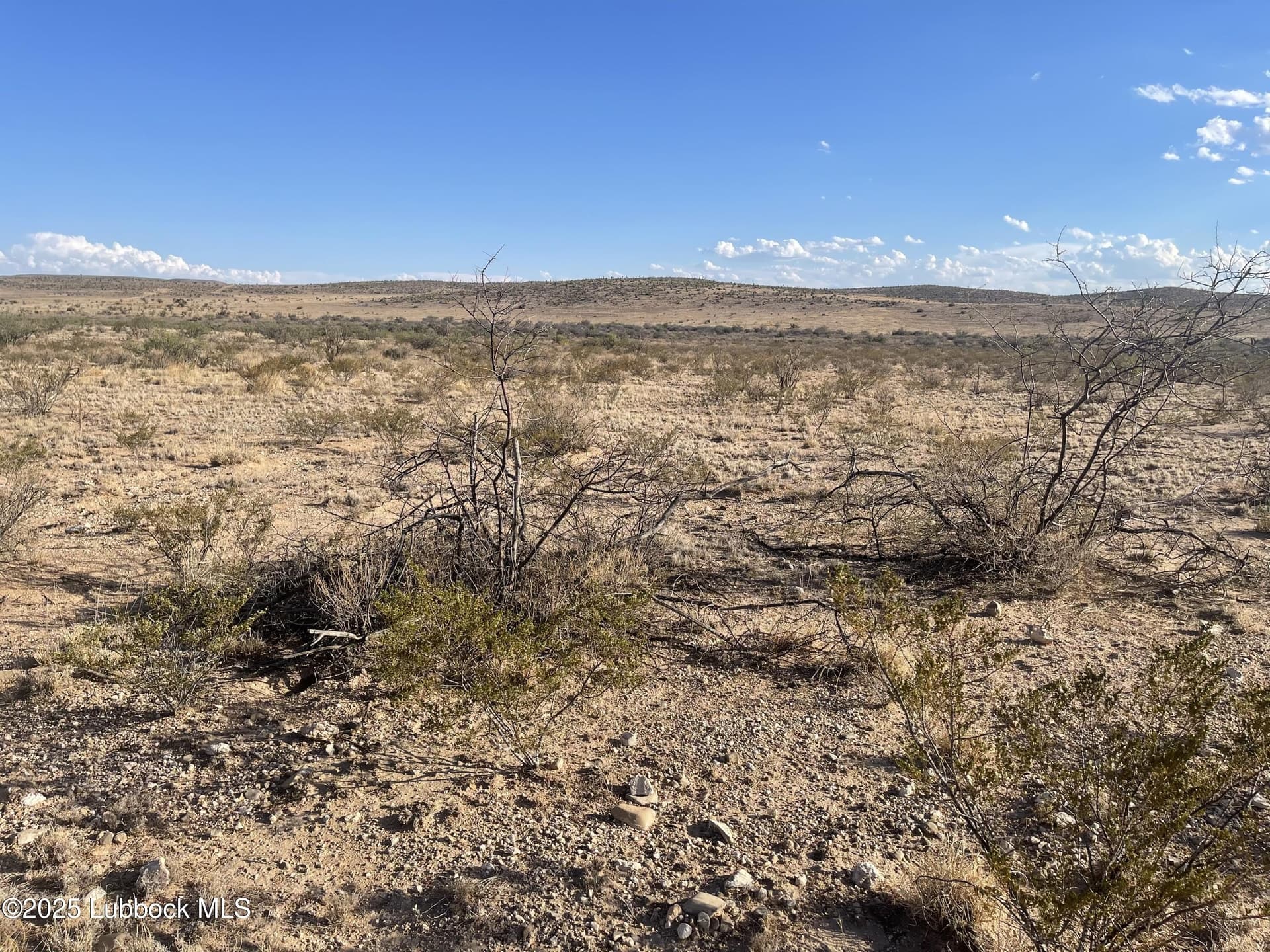 10.08 acres in Presidio County - photo 8