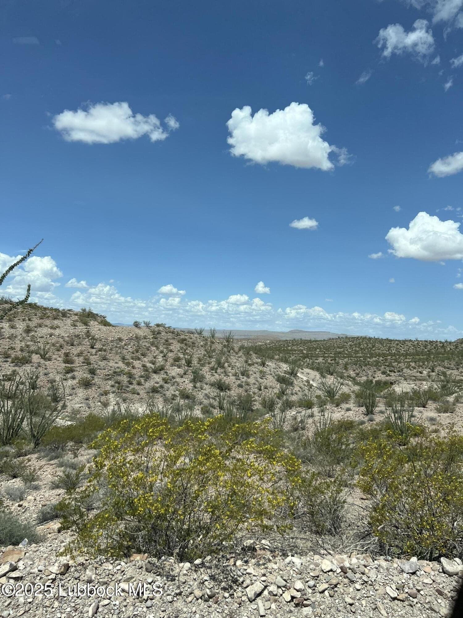 10.08 acres in Presidio County - photo 17