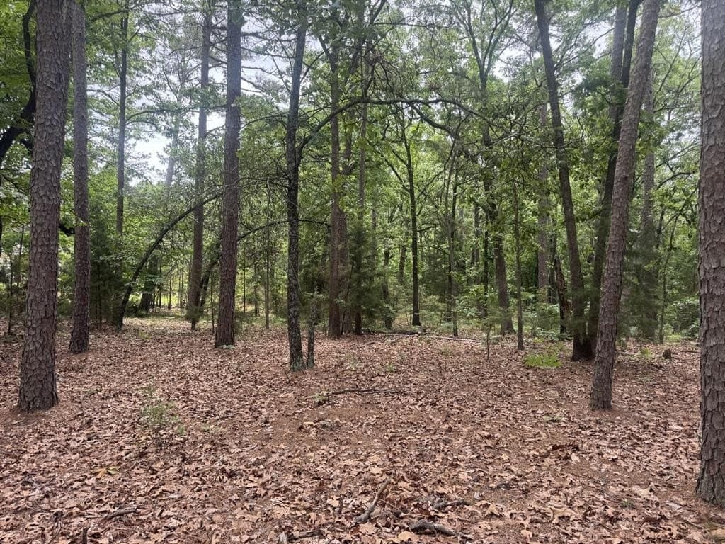 4.14 acres in Lamar County gallery image 4