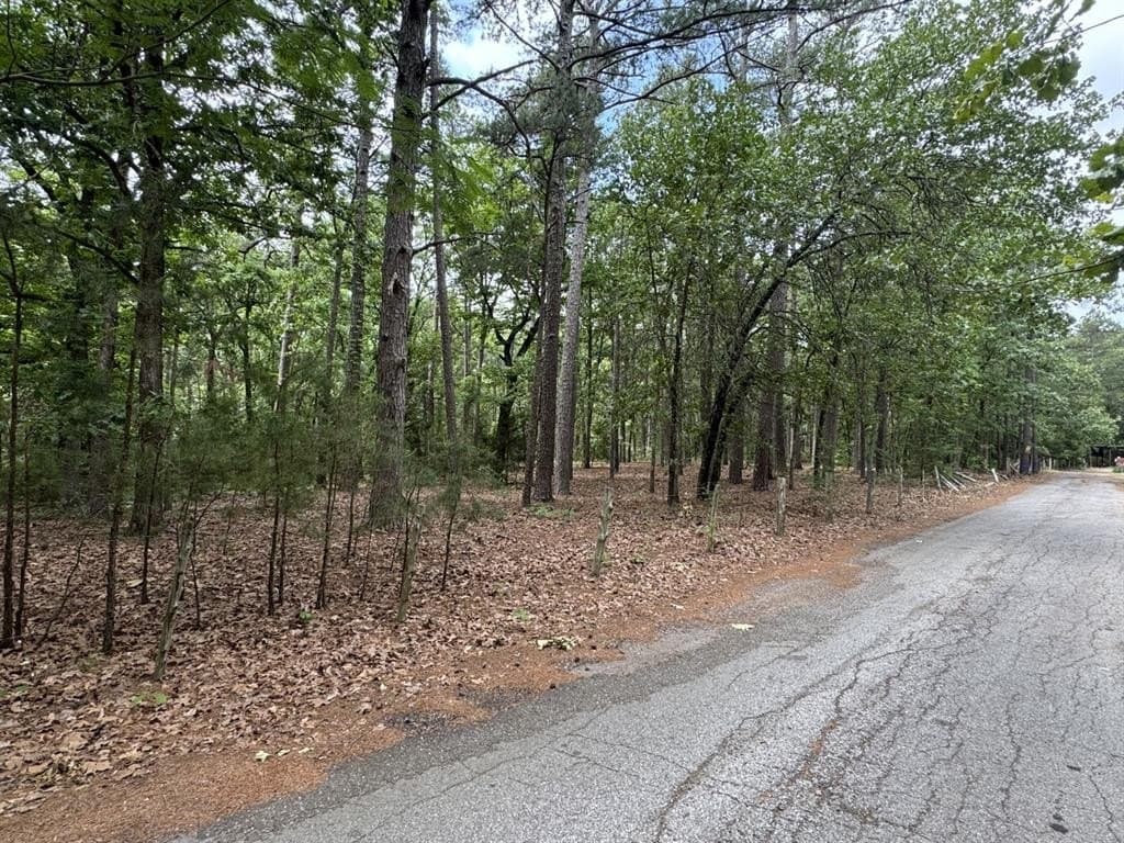 4.14 acres in Lamar County