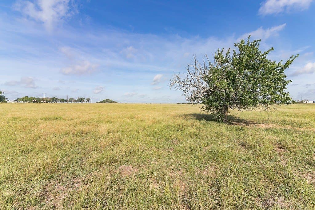 48.39 acres in Colorado County - photo 5