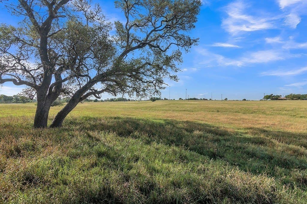 48.39 acres in Colorado County - photo 9
