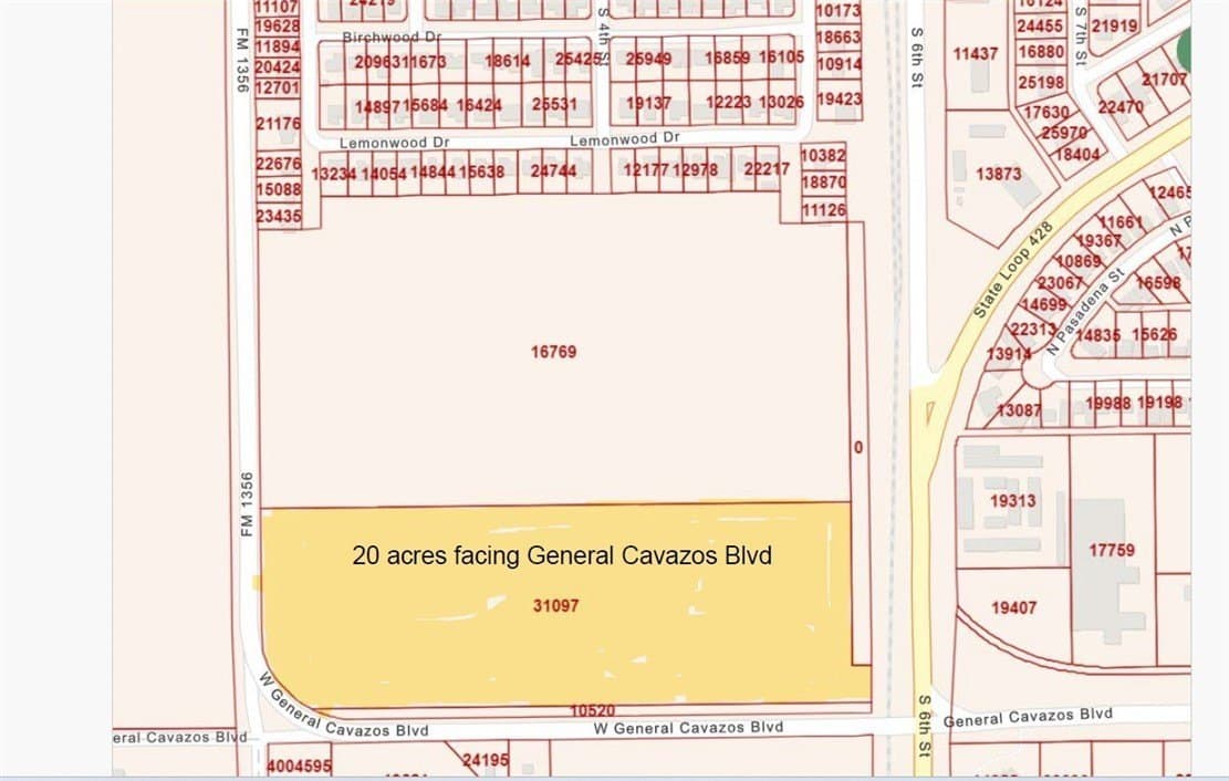 20 acres in Kleberg County gallery image 4
