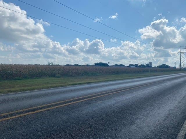20 acres in Kleberg County gallery image 2