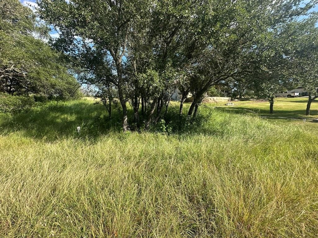 0.55 acres in Kerr County gallery image 2