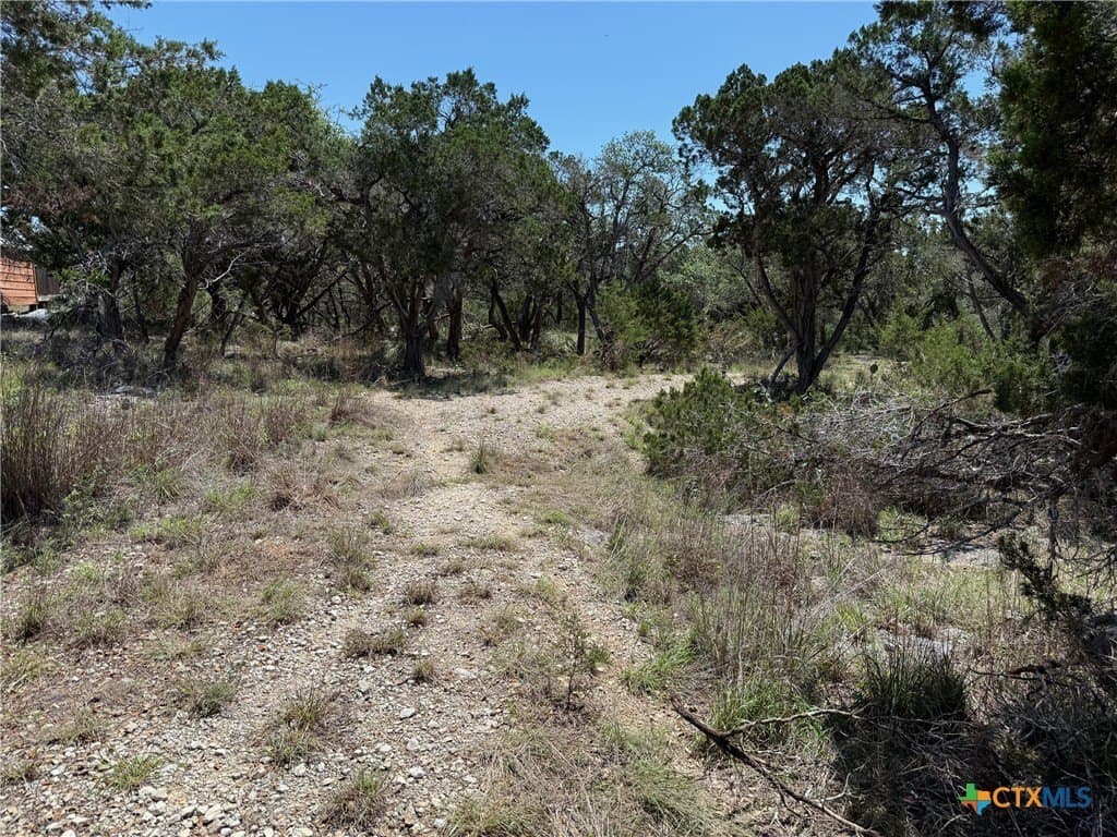 0.34 acres in Comal County gallery image 3