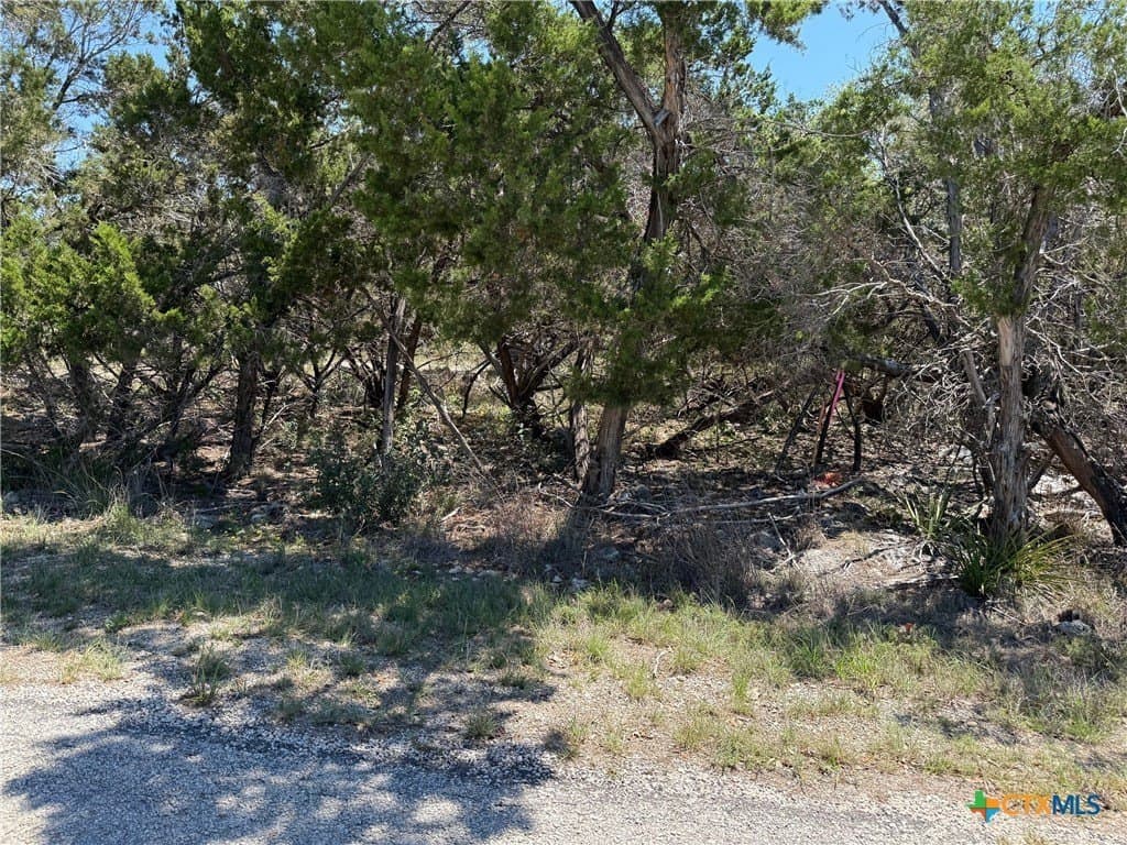 0.34 acres in Comal County gallery image 2