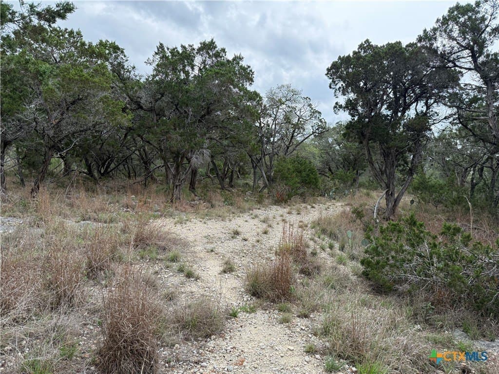 0.34 acres in Comal County gallery image 4