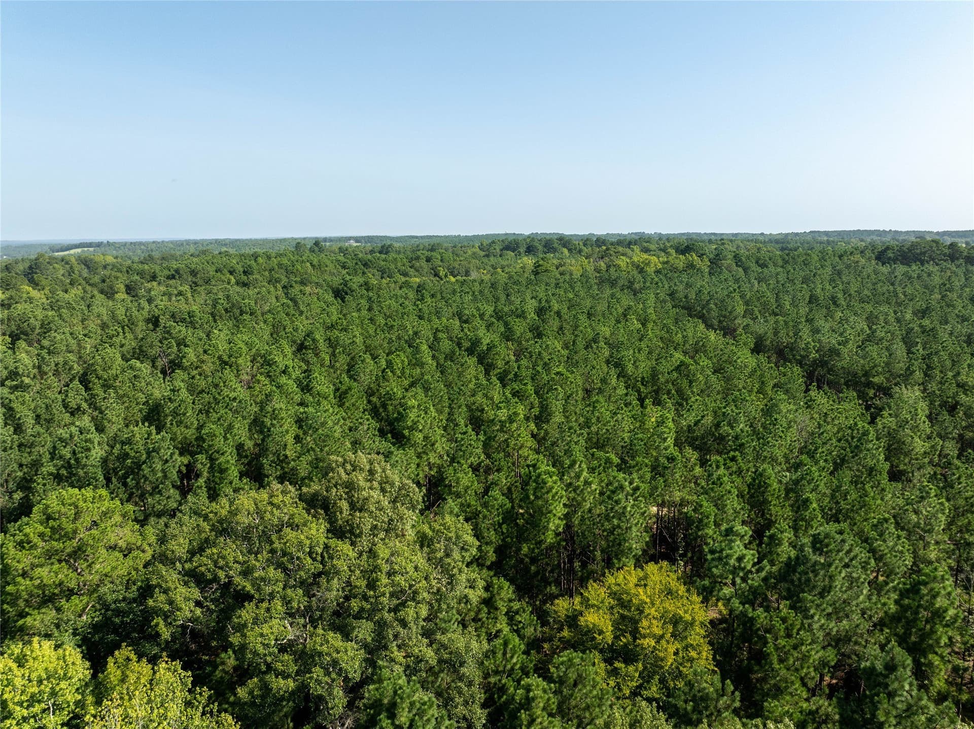 11.63 acres in Cherokee County - photo 10