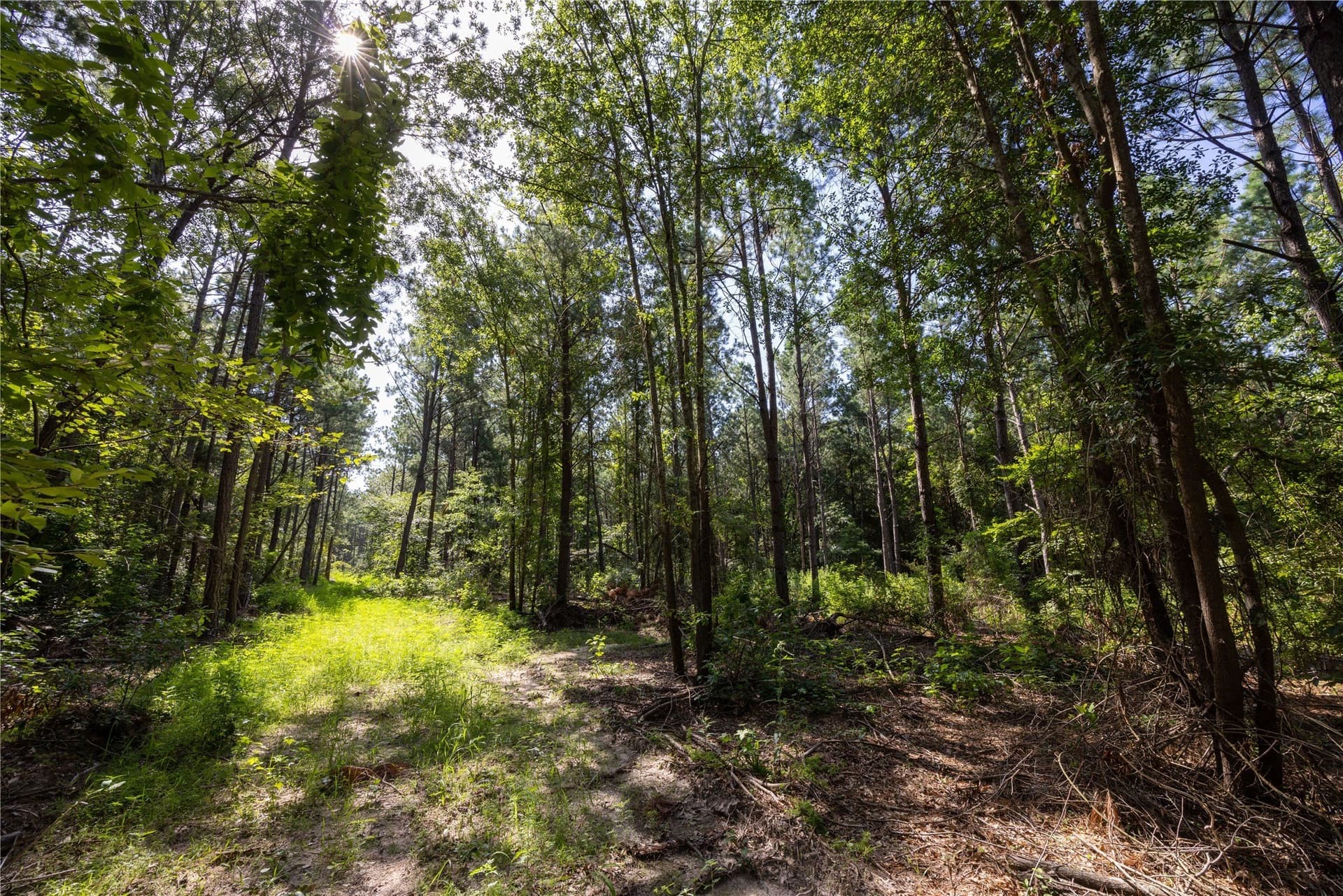 11.63 acres in Cherokee County - photo 7