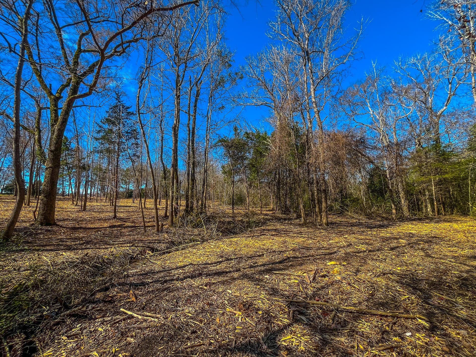 11.63 acres in Cherokee County - photo 3
