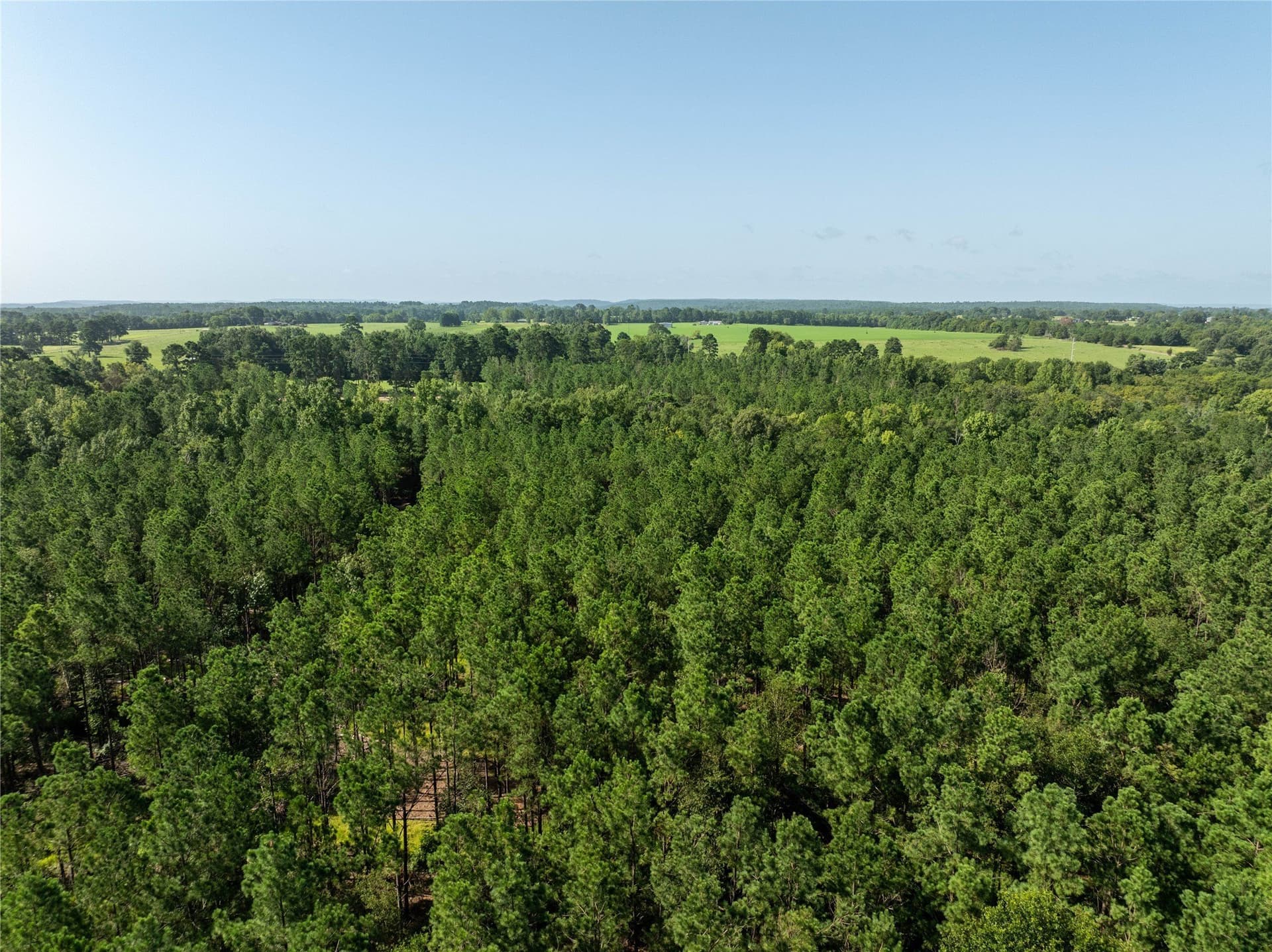11.63 acres in Cherokee County - photo 5