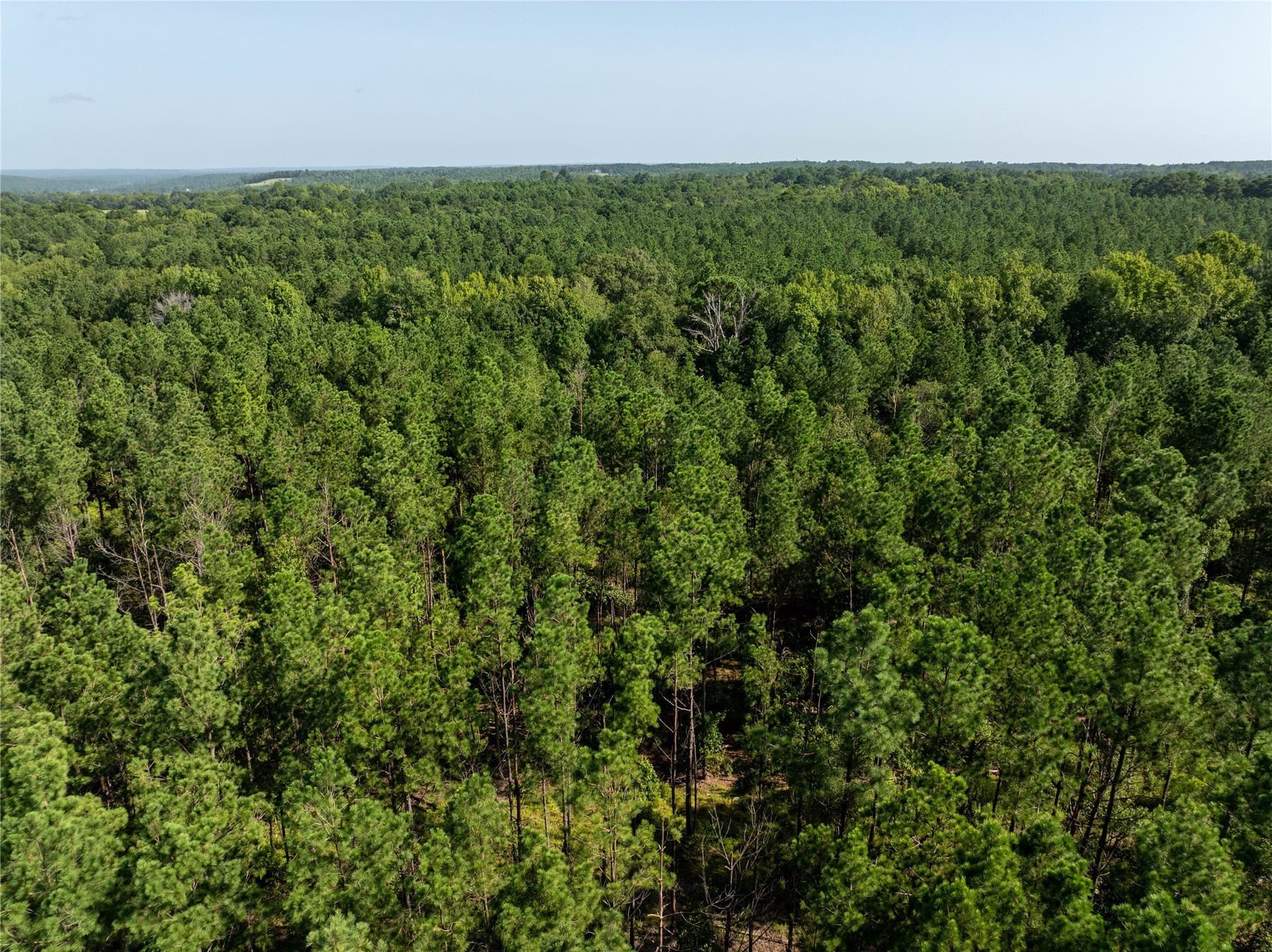 11.63 acres in Cherokee County - photo 8