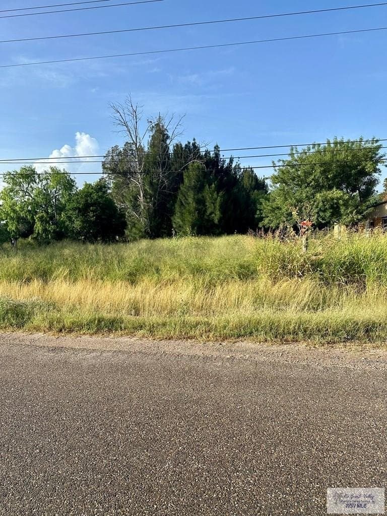 0.37 acres in CAMERON County gallery image 3