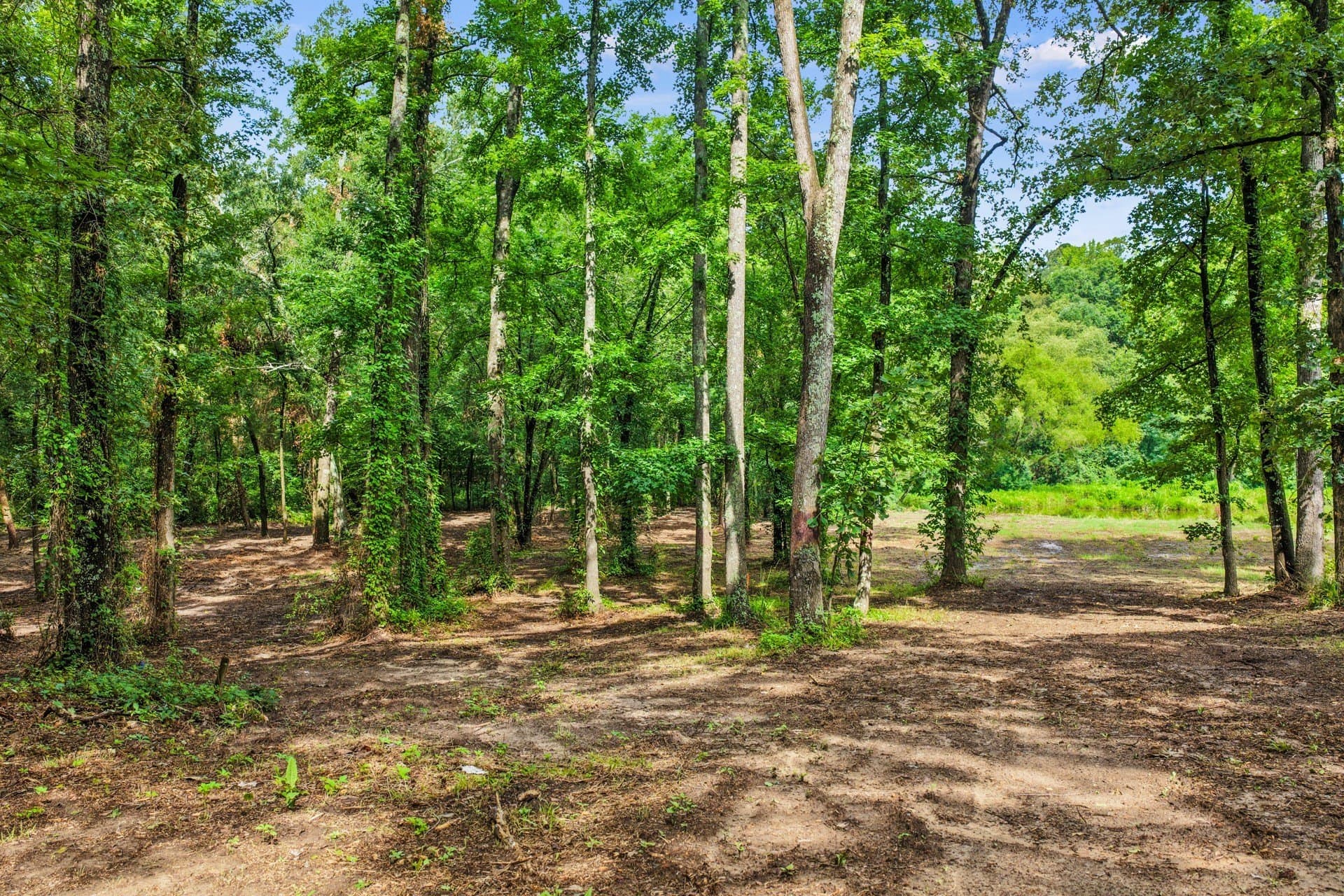 2.1 acres in Franklin (TX) County - photo 7