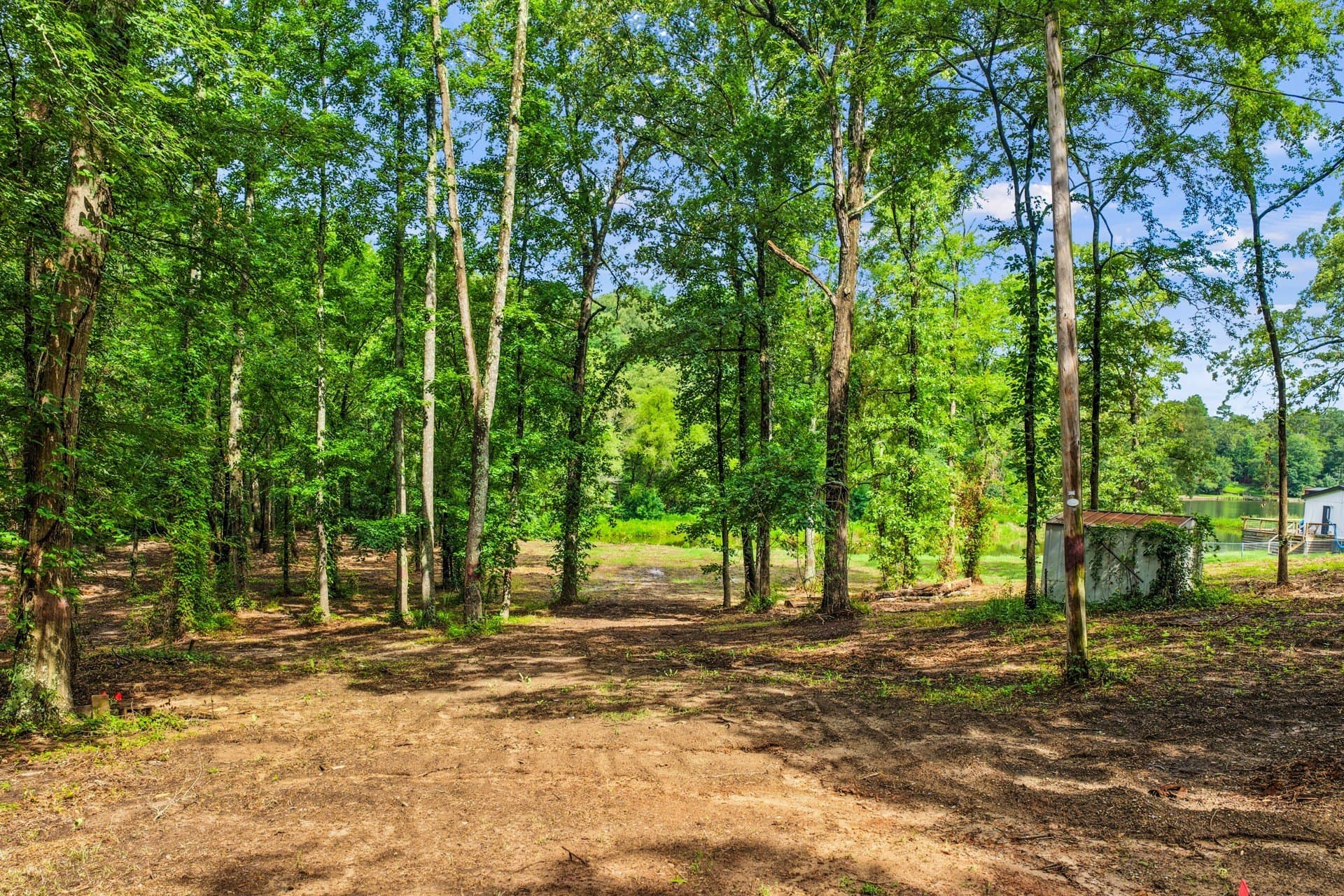 2.1 acres in Franklin (TX) County - photo 4